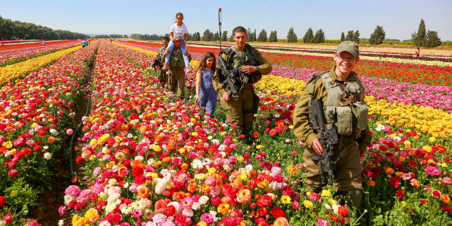 Israeli soldiers seen walking among the flower beds at Nir Yitzhak, Southern Israel, on the spot which was a staging area for Israeli tanks and soldiers during last summer's "Operation Protective Edge". (Photo: Edi Israel/FLASH90)