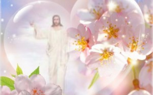 13334106325_7e0635efb5_o